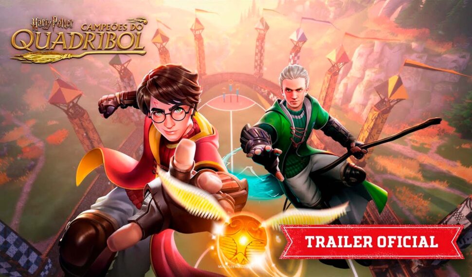 Harry Potter: Campeões do Quadribol