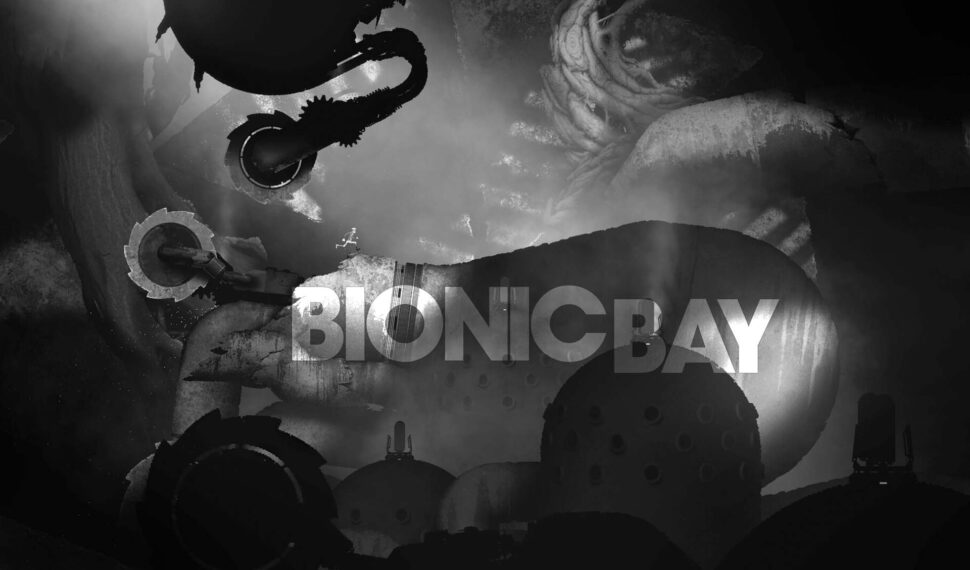 Bionic Bay